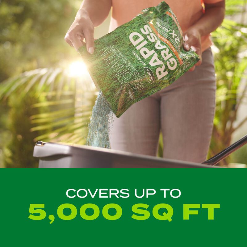 Scotts&reg; Turf Builder&reg; Rapid Grass&trade; Bermudagrass image number null