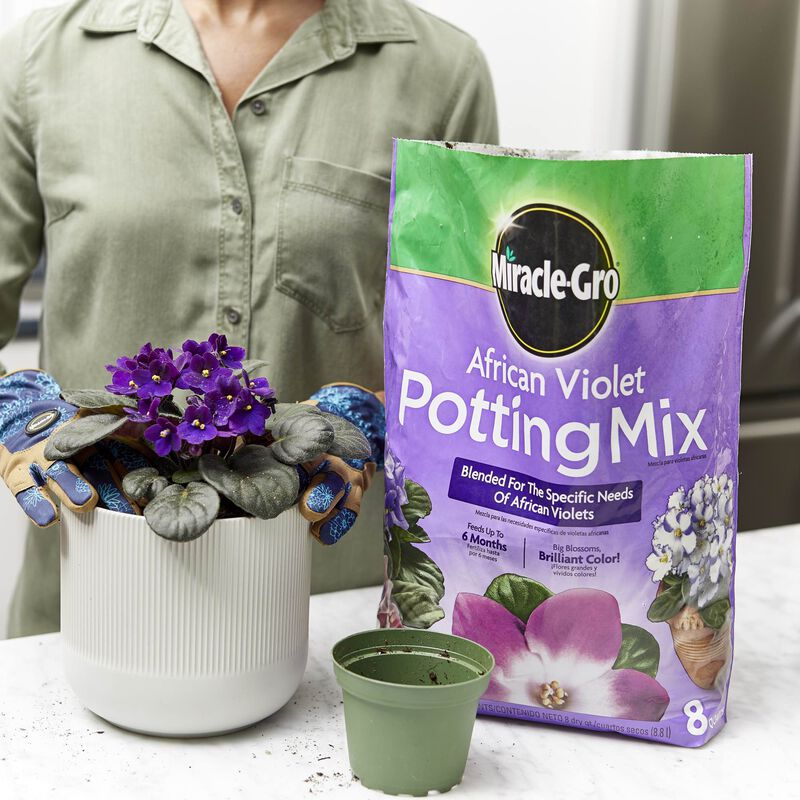 Miracle-Gro&reg; African Violet Potting Mix image number null