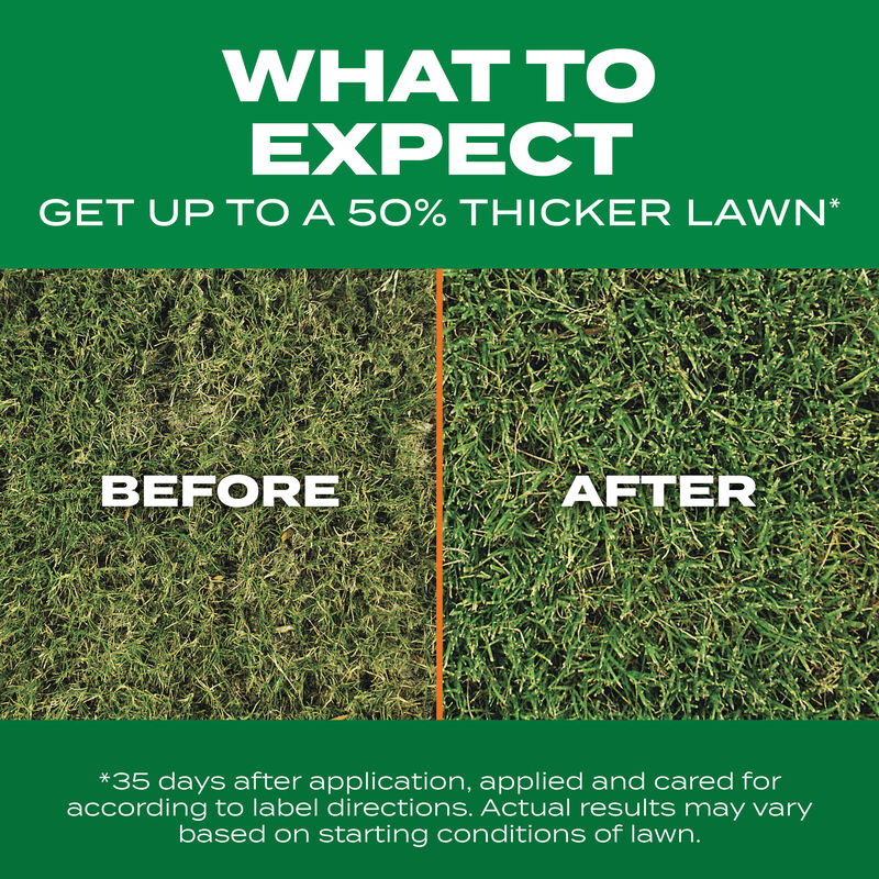 Scotts&reg; Turf Builder&reg; Thick'R Lawn&reg; Bermudagrass image number null