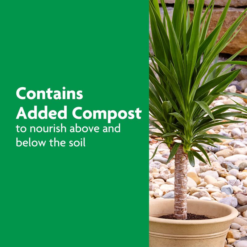 Miracle-Gro&reg; Shake 'N Feed Palm Plant Food image number null