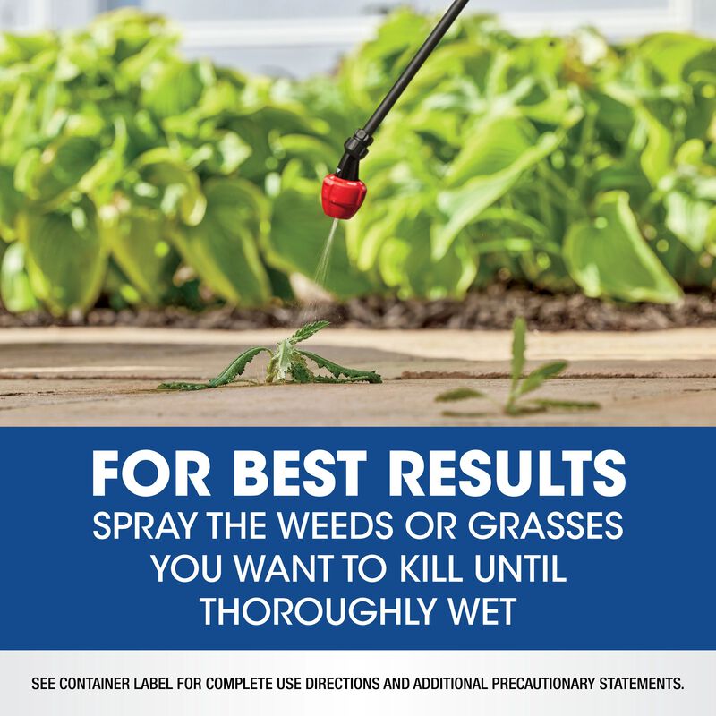 Roundup&reg; Weed & Grass Killer₄ Concentrate image number null