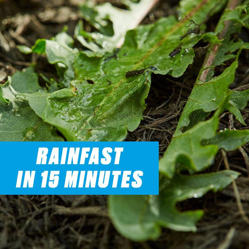 Ortho&reg; Groundclear&reg; Weed & Grass Killer Super Concentrate₁ image number null