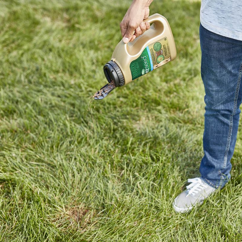 Scotts&reg; EZ Seed&reg; Dog Spot Repair Sun and Shade image number null