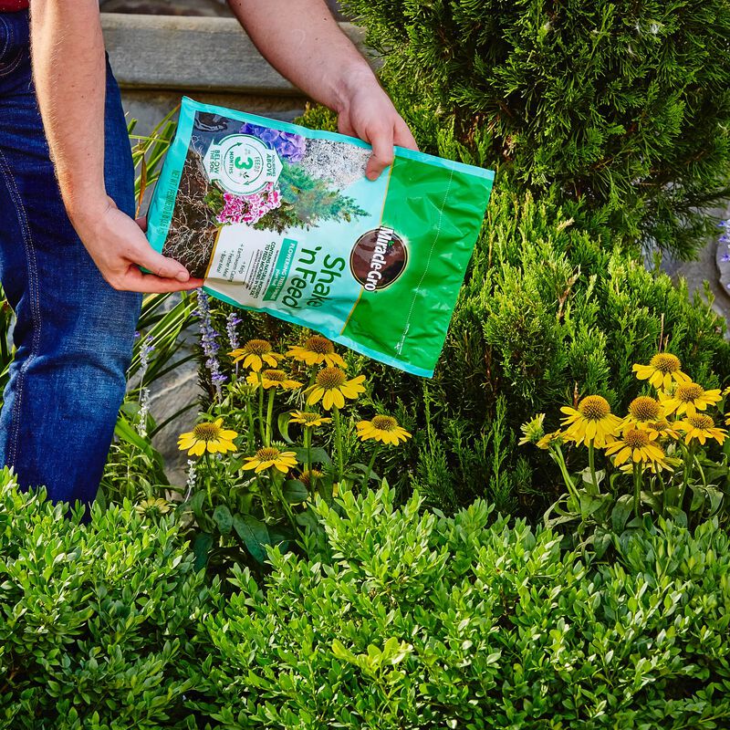 Miracle-Gro&reg; Shake 'N Feed Flowering Trees and Shrubs Plant Food image number null