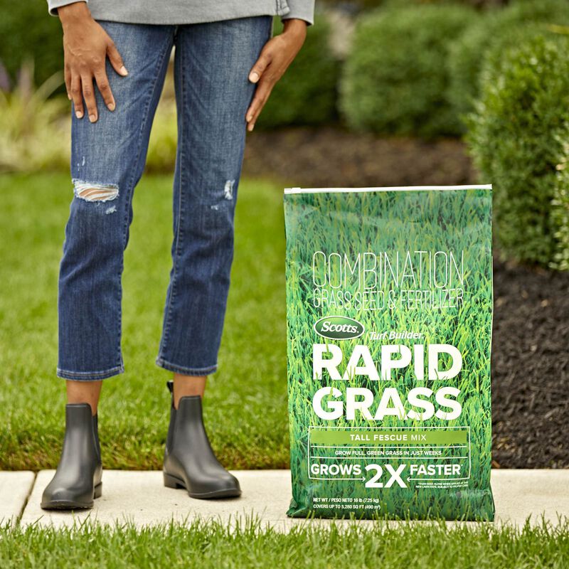 Scotts&reg; Turf Builder&reg; Rapid Grass Tall Fescue Mix image number null