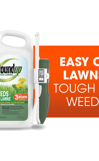 Roundup&reg; For Lawns (Northern)