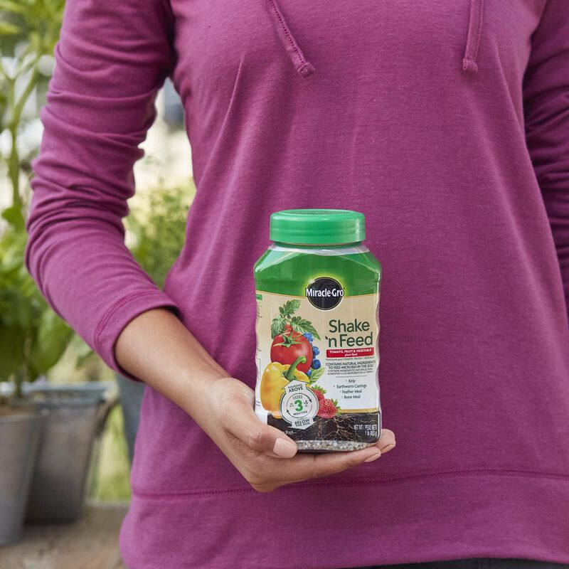 Miracle-Gro&reg; Shake 'N Feed&reg; Tomato, Fruit & Vegetable Plant Food image number null