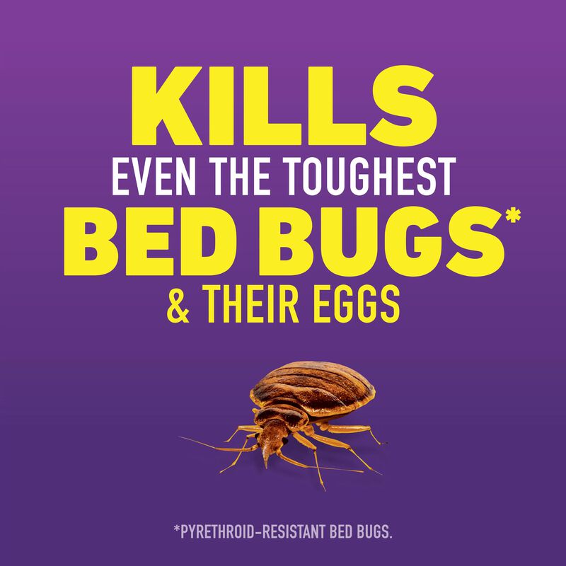 Ortho&reg; Home Defense Max&reg; Bed Bug, Flea & Tick Killer image number null