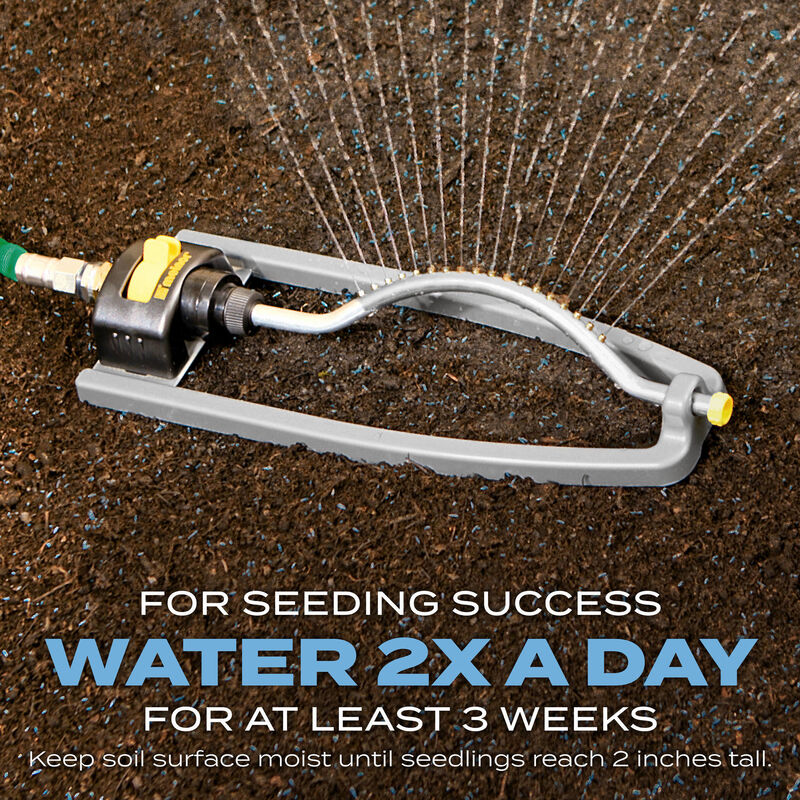 Scotts&reg; Turf Builder&reg; Grass Seed Kentucky Bluegrass Mix image number null