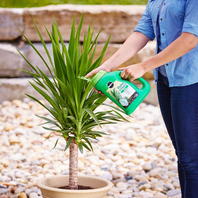 Miracle-Gro&reg; Shake 'N Feed Palm Plant Food image number null