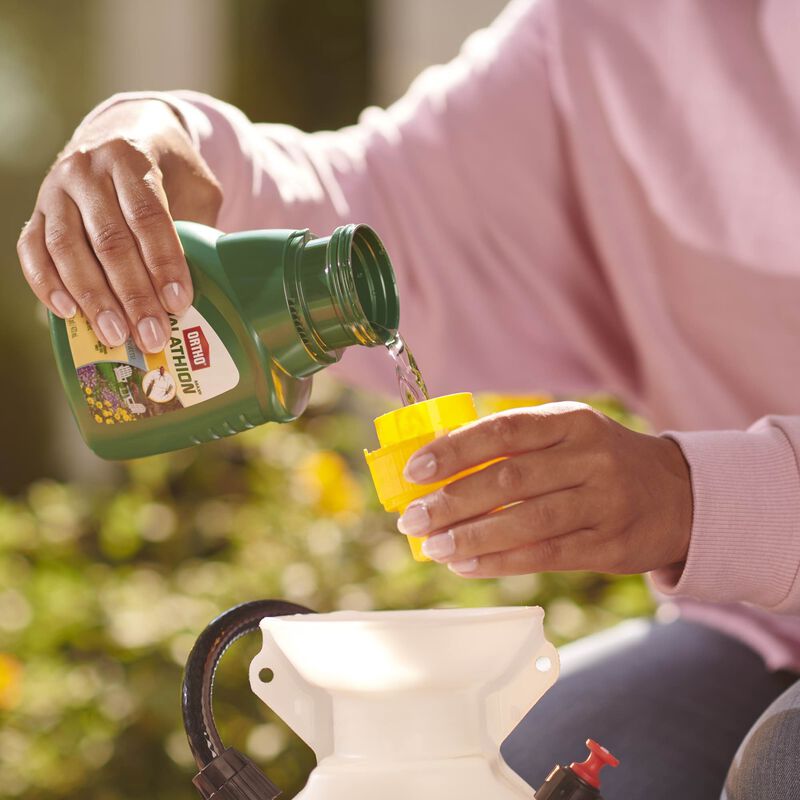 Ortho&reg; MAX&reg; Malathion Insect Spray Concentrate image number null