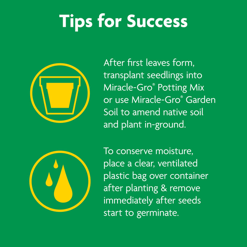 Miracle-Gro&reg; Seed Starting Potting Mix image number null