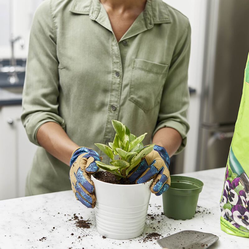 Miracle-Gro&reg; Perlite image number null