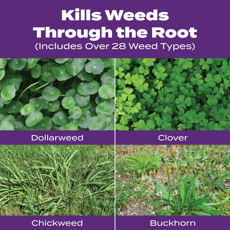 Scotts&reg; Turf Builder&reg; Bonus&reg; S Southern Weed & FeedF₂ - Florida Fertilizer image number null
