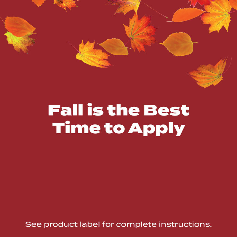 Scotts&reg; Turf Builder&reg; WinterGuard&reg; Fall Lawn Food image number null
