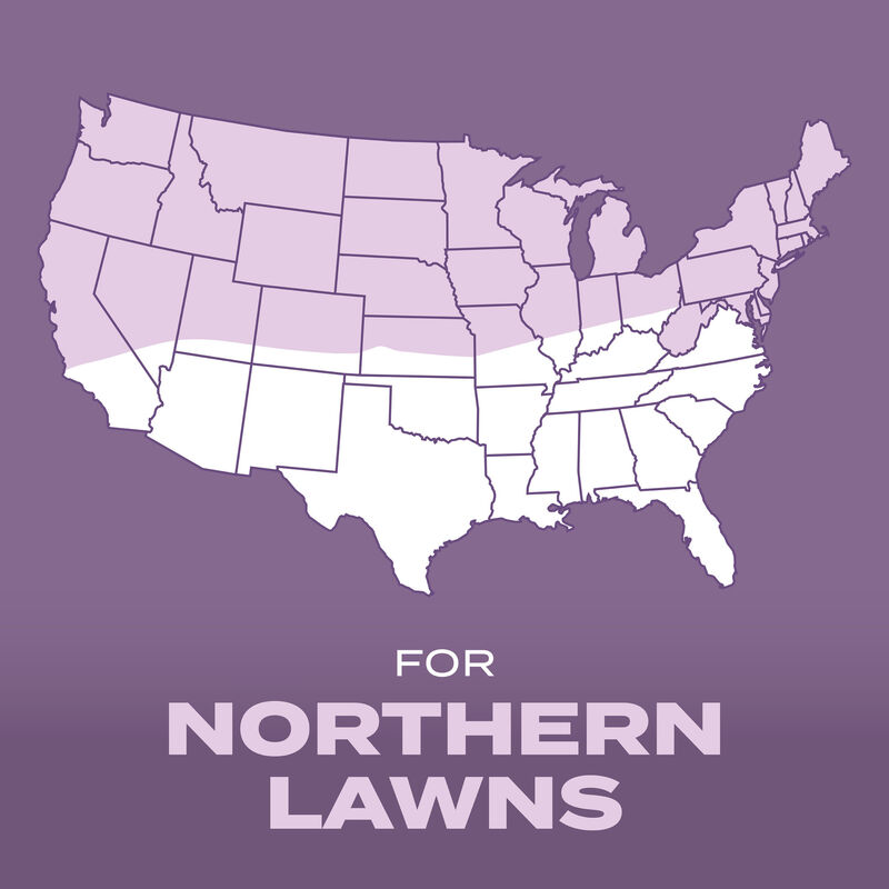 Scotts&reg; Turf Builder&reg; Grass Seed Perennial Ryegrass Mix image number null