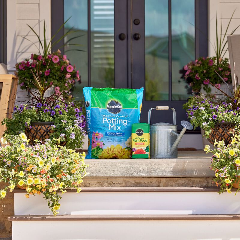 Miracle-Gro&reg; Moisture Control Potting Mix and Miracle-Gro&reg; Water Soluble All Purpose Plant Food image number null