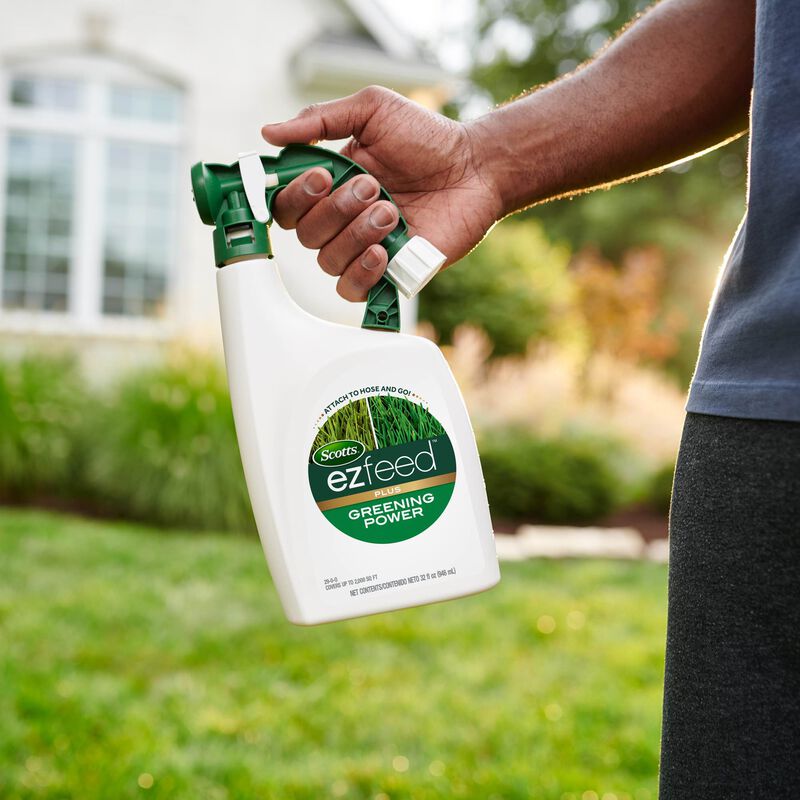 Scotts&reg; EZ Feed&trade; Plus Greening Power image number null