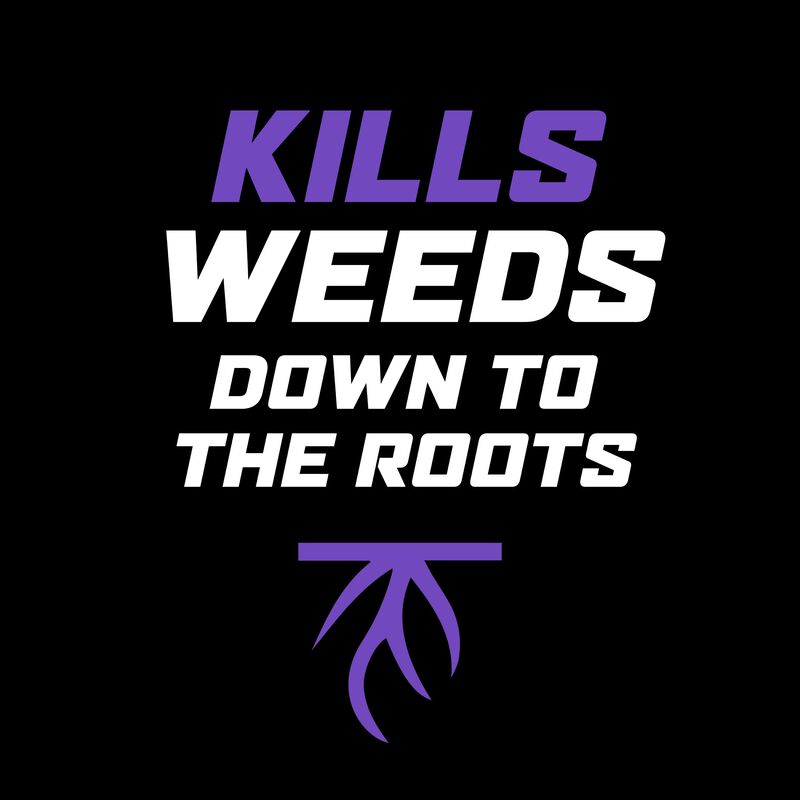 Ortho&reg; WeedClear&trade; Lawn Weed Killer Ready-to-Use₁ (South) image number null