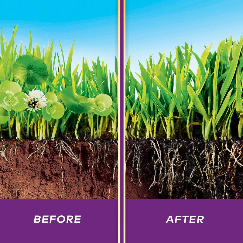 Scotts&reg; WeedEx&trade; Southern image number null