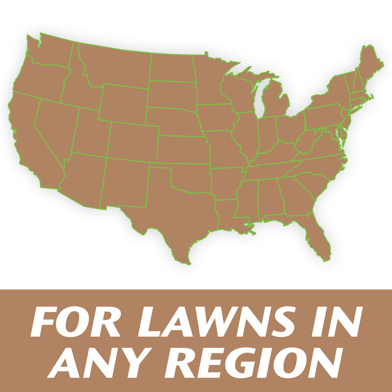 Scotts&reg; Turf Builder&reg; Clover Lawn image number null