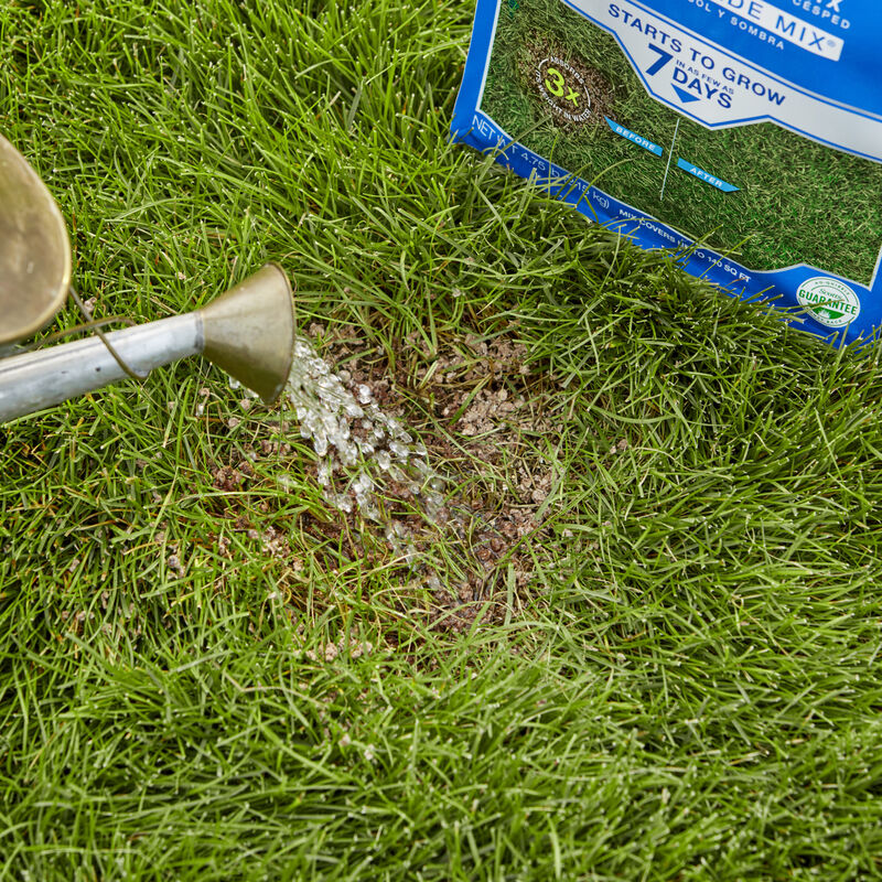 Scotts&reg; PatchMaster&reg; Lawn Repair Mix Sun + Shade Mix image number null