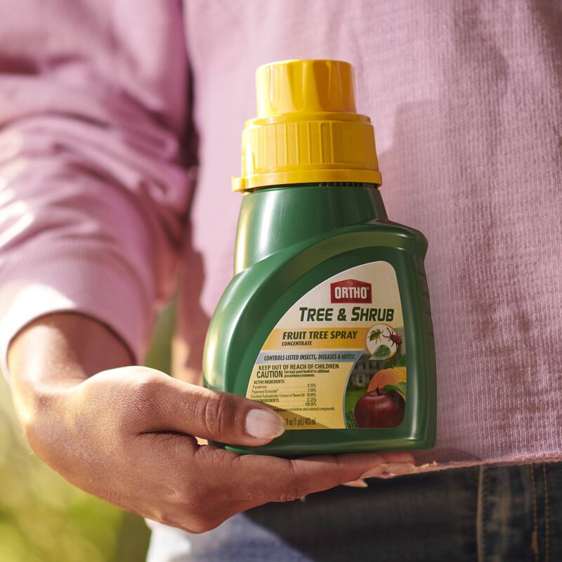 Ortho&reg; Tree & Shrub Fruit Tree Spray image number null