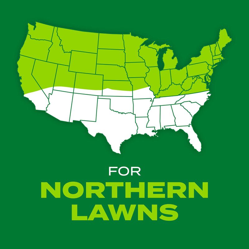 Scotts&reg; Turf Builder&reg; Rapid Grass&trade; Sun & Shade Mix image number null