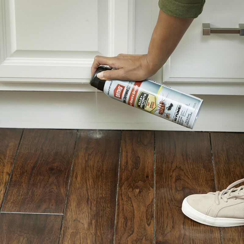 Ortho&reg; Home Defense Max&reg; Ant, Roach & Spider₁ image number null