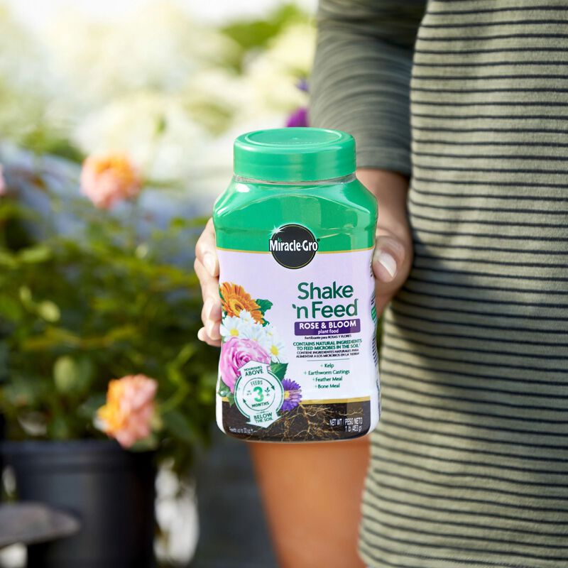 Miracle-Gro&reg; Shake 'n Feed Rose & Bloom Plant Food image number null