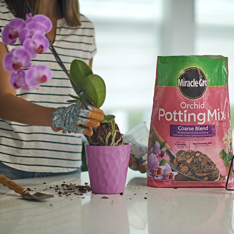 Miracle-Gro&reg; Orchid Potting Mix Coarse Blend image number null