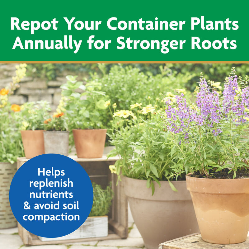 Miracle-Gro&reg; Moisture Control&reg; Potting Mix image number null