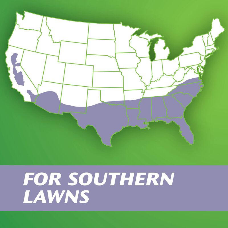 Scotts&reg; Turf Builder&reg; Grass Seed Zoysia Grass Seed & Mulch image number null