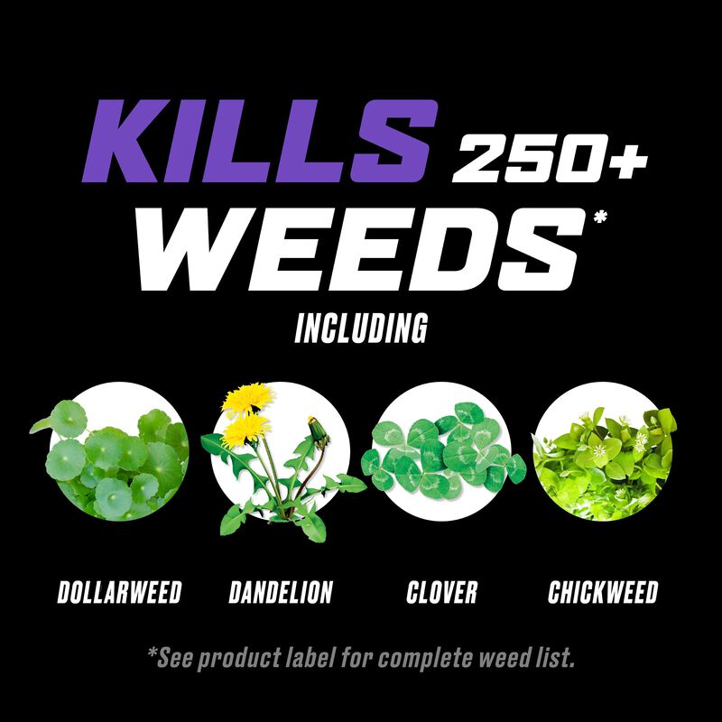 Ortho&reg; WeedClear&trade; Lawn Weed Killer Ready-to-Use₁ (South) image number null