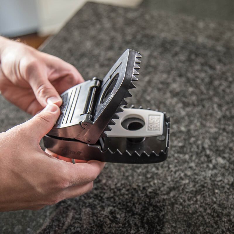 Tomcat&reg; Rat Bundle image number null