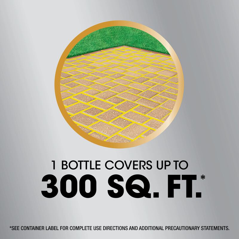 Roundup&reg; Dual Action 365 Weed & Grass Killer Plus 12 Month Preventer with Comfort Wand&reg; image number null