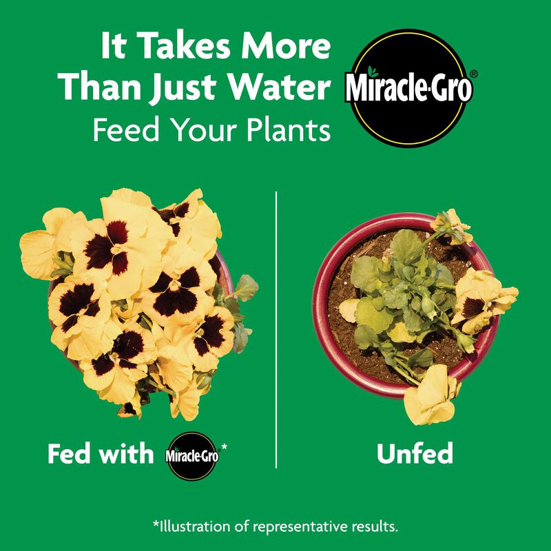 Miracle-Gro&reg; Shake 'n Feed Rose & Bloom Plant Food image number null