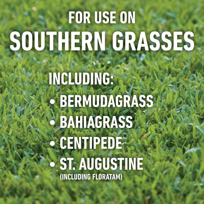 Roundup&reg; for Lawns₄ Ready-To-Use (Southern) image number null