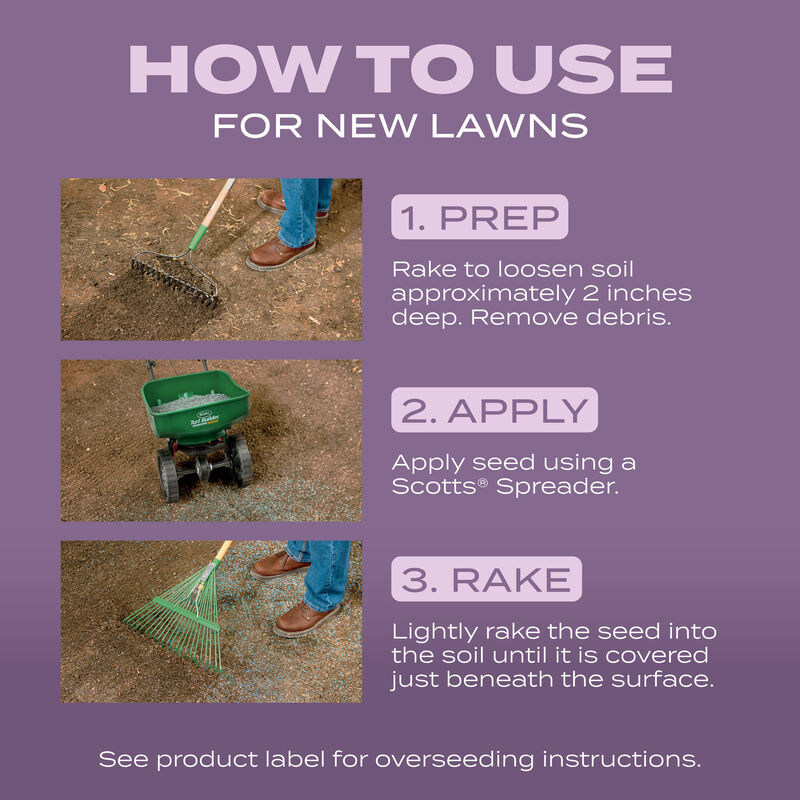 Scotts&reg; Turf Builder&reg; Grass Seed Perennial Ryegrass Mix image number null