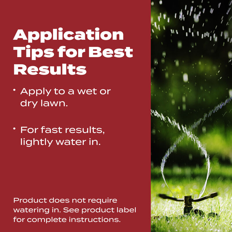 Scotts&reg; Turf Builder&reg; WinterGuard&reg; Fall Lawn Food image number null