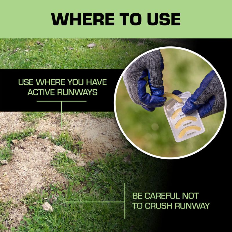 Tomcat&reg; Mole Killer Grubs image number null