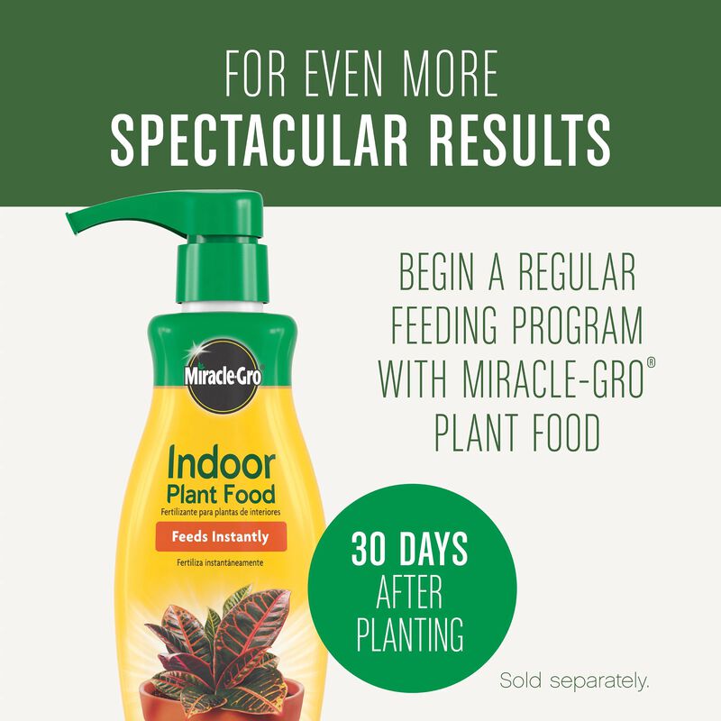 Miracle-Gro&reg; Houseplant Potting Mix image number null
