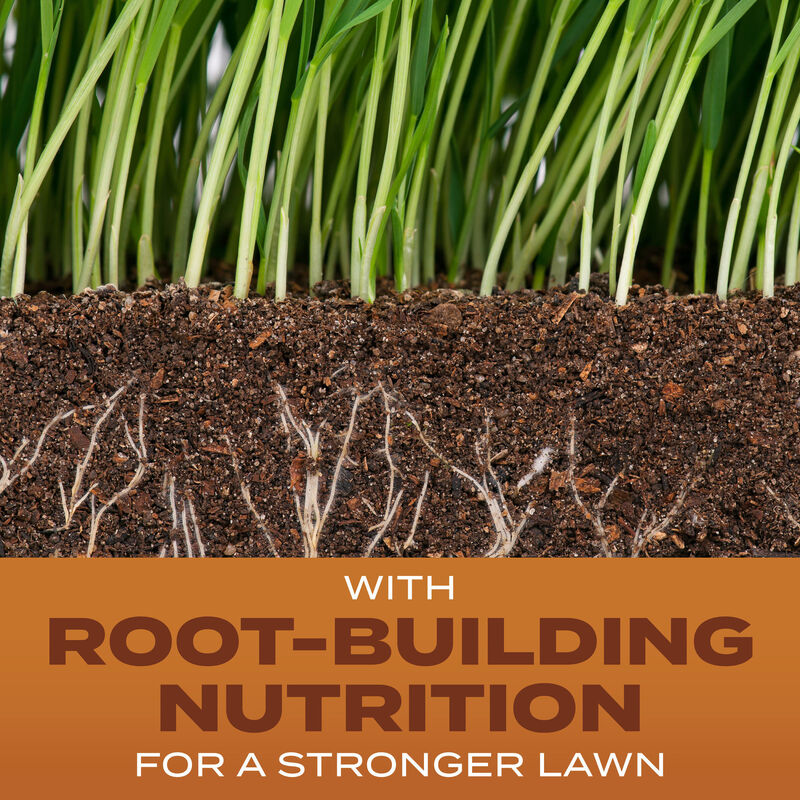 Scotts&reg; Turf Builder&reg; Grass Seed High Traffic Mix image number null