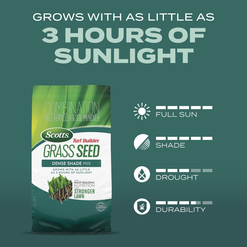 Scotts&reg; Turf Builder&reg; Grass Seed Dense Shade Mix image number null