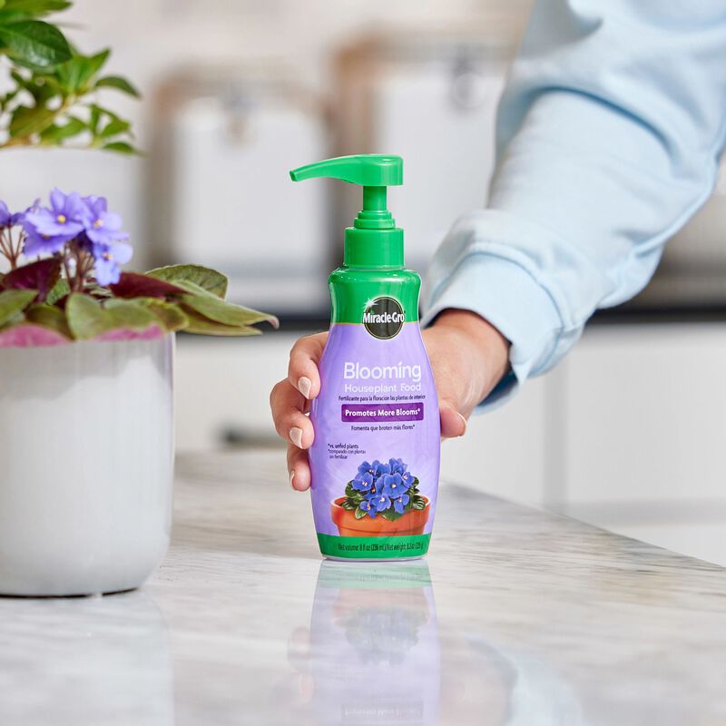 Miracle-Gro&reg; Blooming Houseplant Food image number null
