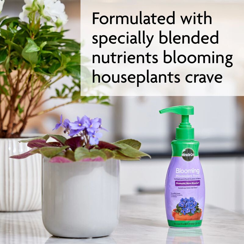 Miracle-Gro&reg; Blooming Houseplant Food image number null