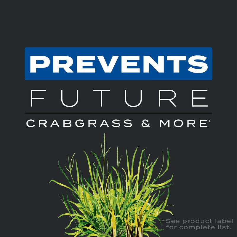 Scotts&reg; Turf Builder&reg; Triple Action₁ image number null