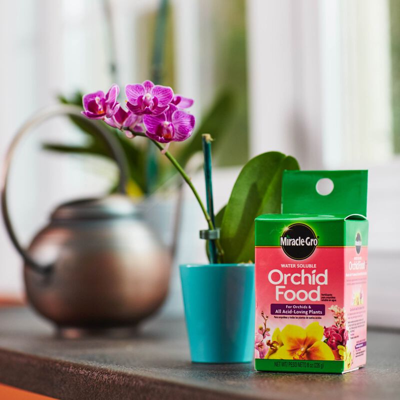 Miracle-Gro&reg; Water Soluble Orchid Food image number null