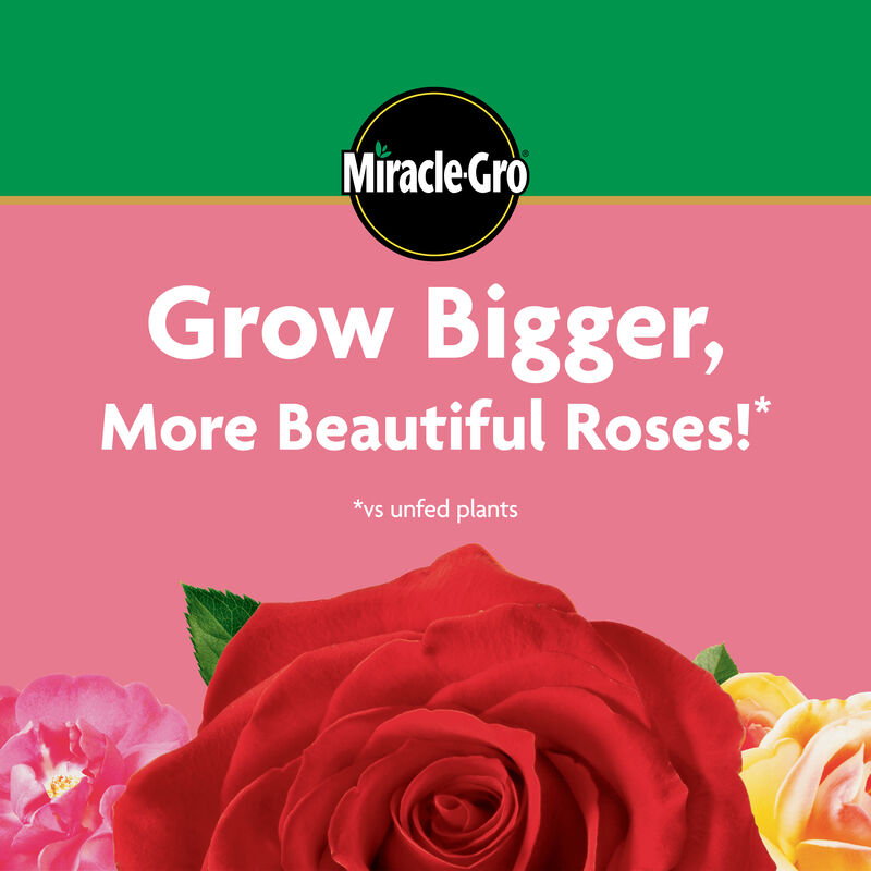 Miracle-Gro&reg; Water Soluble Rose Plant Food image number null