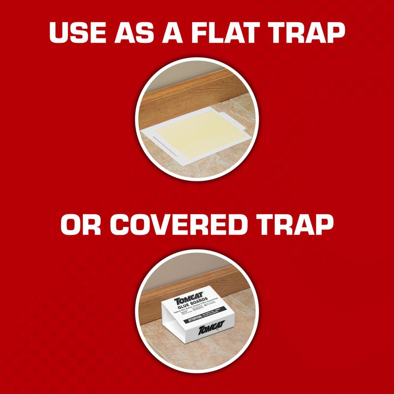 Tomcat&reg; Glue Boards with Eugenol for Enhanced Stickiness image number null